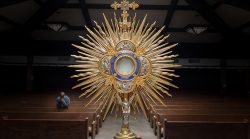 Muitos fiéis enfrentam com dificuldade a privação da Comunhão Eucarística. As iniciativas para uma solução são raras, então, como solucionar privação da Eucaristia e ao mesmo tempo respeitar as regras relacionadas ao confinamento?