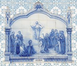 “Celebramos a Ascensão como uma festa e, todavia, ela comemora a despedida de Jesus dos seus discípulos e deste mundo”, destacou Francisco em Mensagem a missionários.