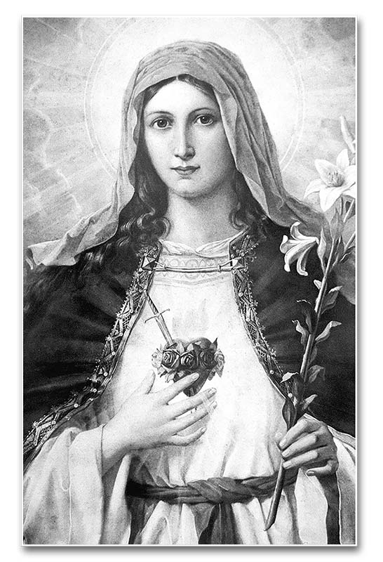 Foto: Lucio Cesar Rodrigues Alves