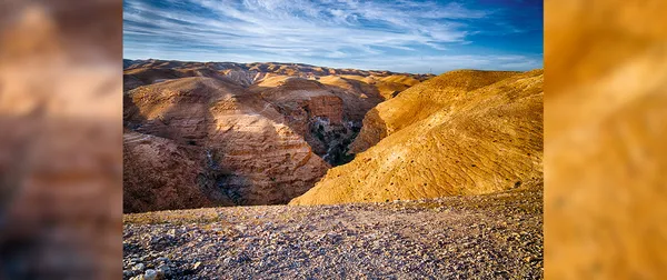 El desierto: escuela de las almas amadas por Dios