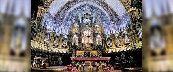 Entrevista: Deus fala aos homens pela beleza