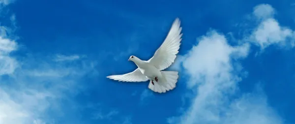 A verdadeira Paz