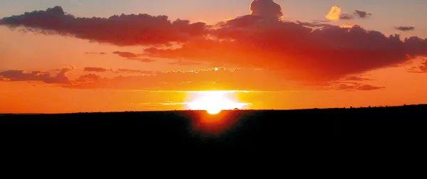 São Francisco de Assis – Oração