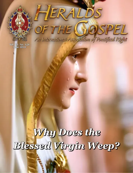 Why Does the  Blessed Virgin Weep?