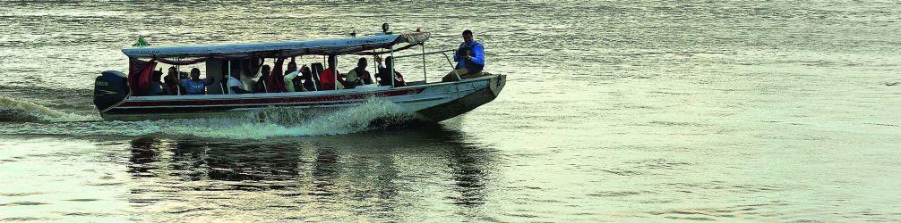 Amazonas_arautos.jpg Amazonas_arautos.jpg