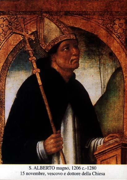 SANTO ALBERTO MAGNO.jpg