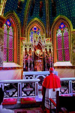 cardeal ODILO SHERER.jpg