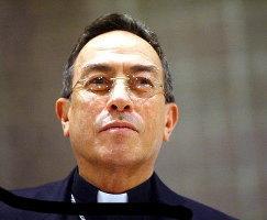 Cardenal_492_371.jpg Cardenal_492_371.jpg