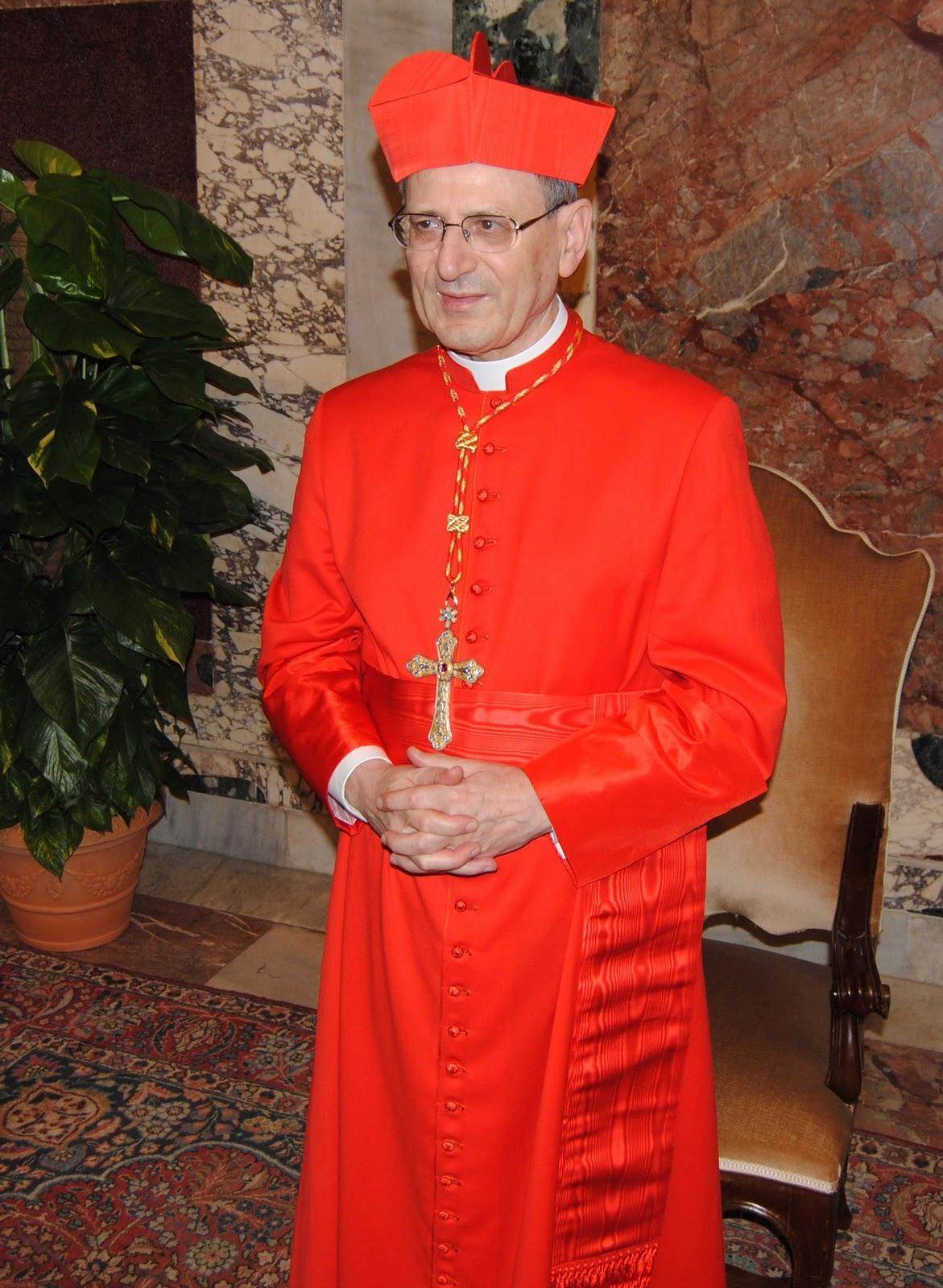 Cardeal Angelo Amato.jpg Cardeal Angelo Amato.jpg