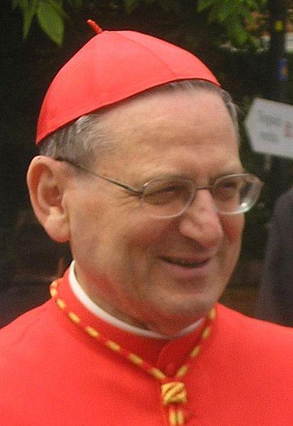 Cardeal Angelo Amato.jpg Cardeal Angelo Amato.jpg