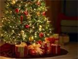 arvore_de_natal.jpg