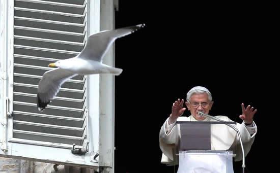 angelus.jpg