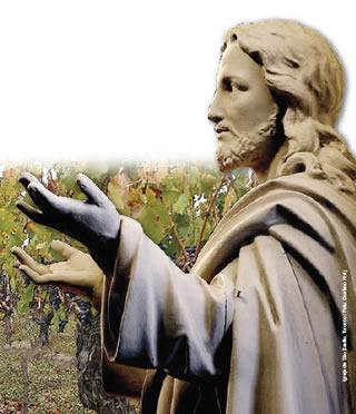 Jesus-videira.jpg