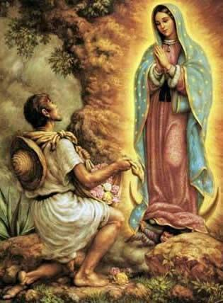 Imagem de Nossa Senhora de Guadalupe visita diocese brasileira.jpg