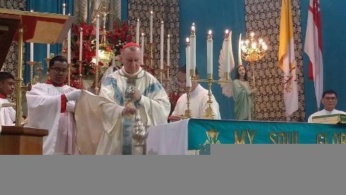 Cardeal Parolin recomenda que a Igreja em Singapura dê testemunho diante do ?secularismo agressivo? 1.jpg Cardeal Parolin recomenda que a Igreja em Singapura dê testemunho diante do ?secularismo agressivo? 1.jpg