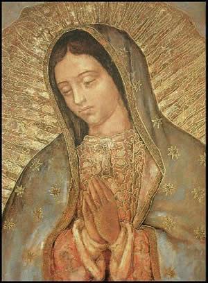 Cardeal Cipriani fala da devoção à Nossa Senhora de Guadalupe.jpg