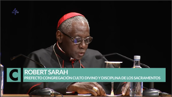 Cardeal Sarah destaca testemunho de São João de Ávila e a importância do silêncio.png