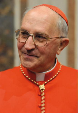 Centenário da carta Maximum Illud será celebrado com Mês Missionário.png