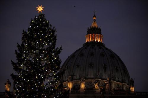 Praça de São Pedro recebe árvore de Natal doada pela Polônia.jpg