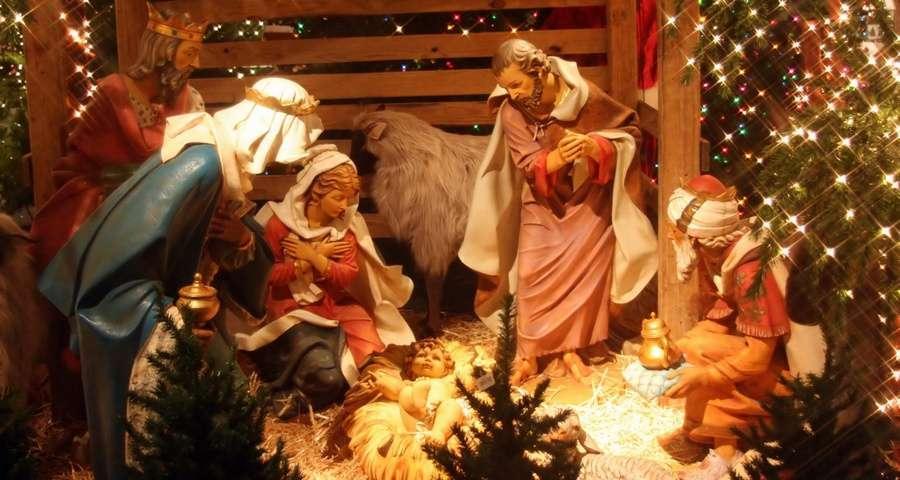 Uma prova biológica -e bela- de que o nascimento de Cristo ocorreu em dezembro.jpg