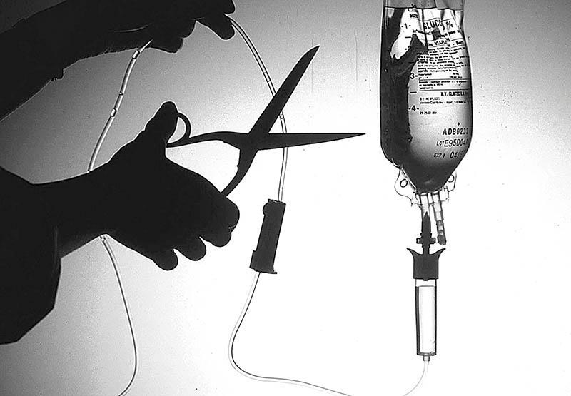 26.Bispos franceses pedem reflexão sobre a eutanásia e acesso a cuidados médicos.jpg