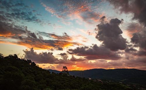 Desejar o céu é um gosto adquirido, afirma Bispo de Phoenix, EUA.jpg