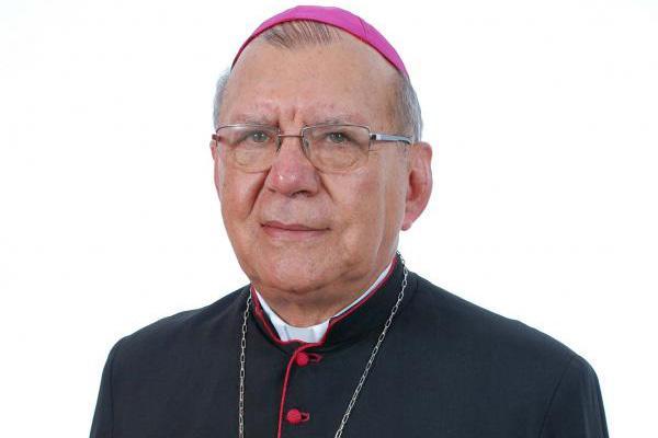 História da devoção mariana é tema de livro do Arcebispo de Teresina.jpg